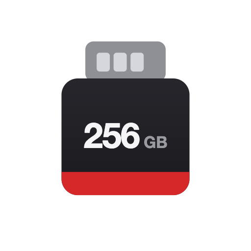Pro — 256 GB